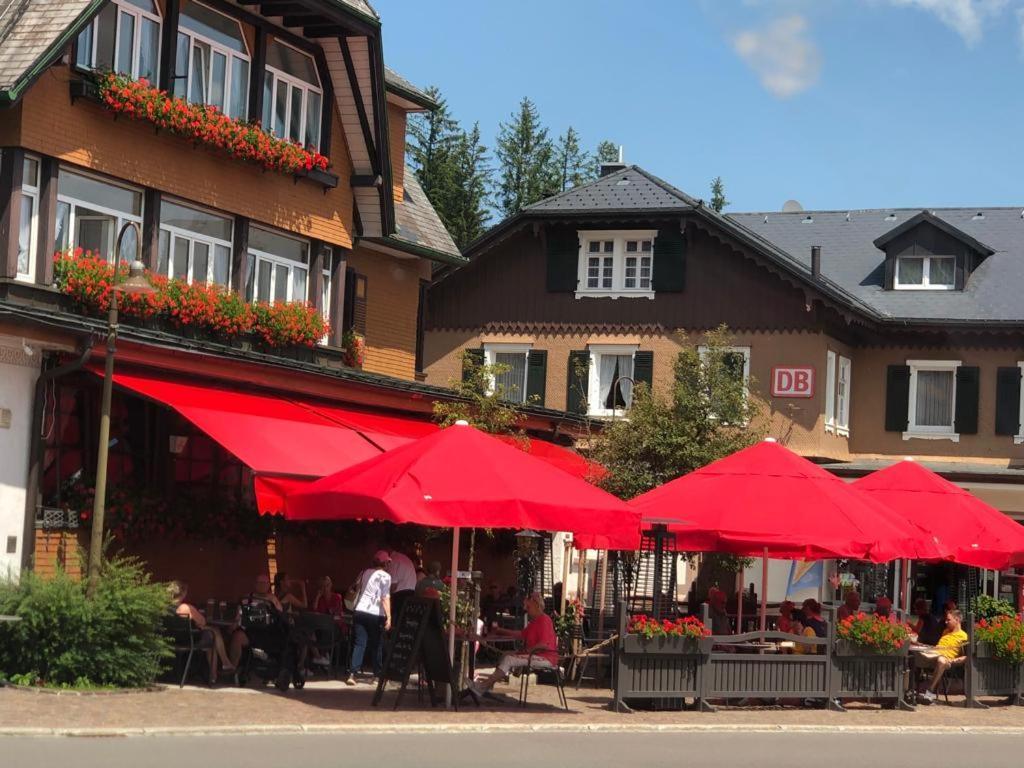 Hotel Schwarzwaldhof Хинтерцартен Екстериор снимка